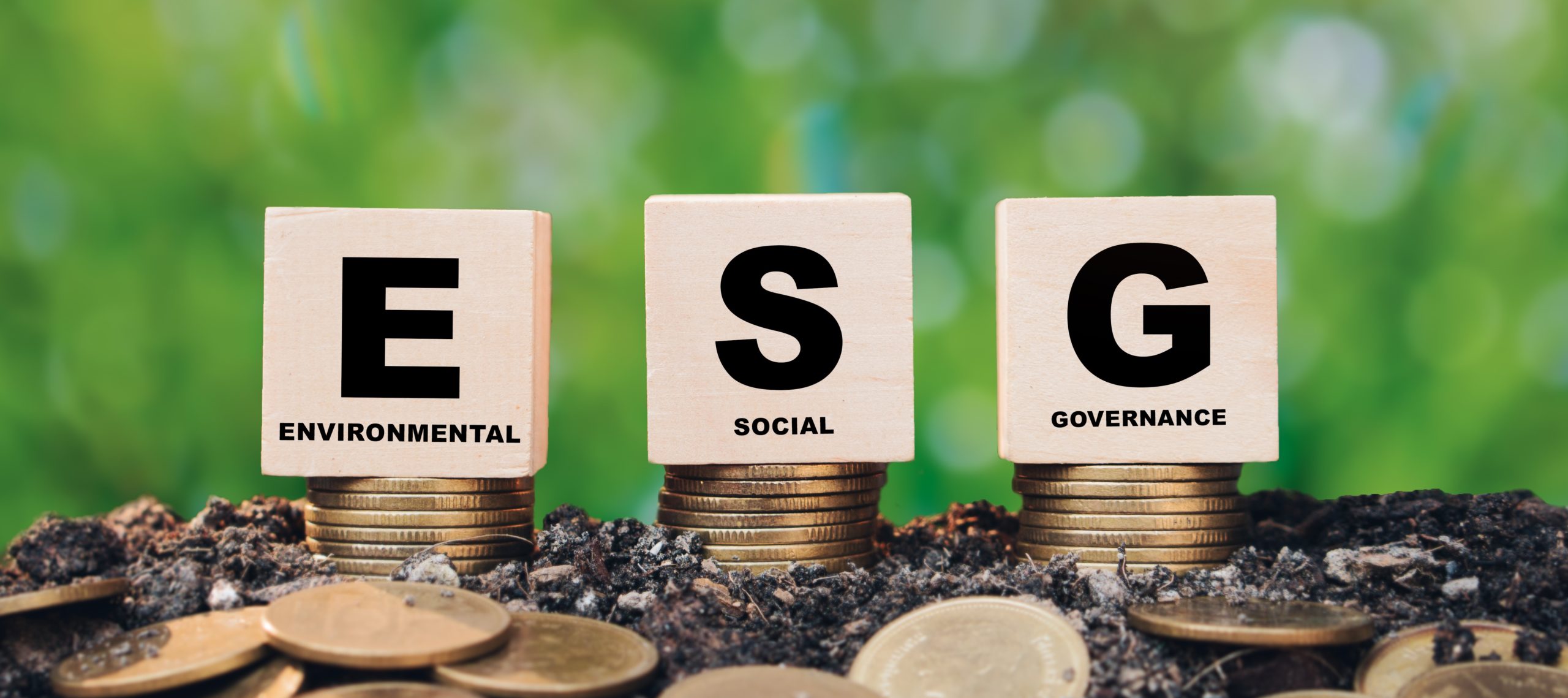 Companies seeking investment are more likely to secure funding if they can demonstrate ESG credentials.